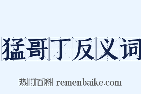 猛哥丁反义词是什么意思的图片